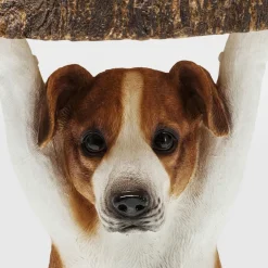 Best Sale Bijzettafel Animal Mr Jack Ø33cm Kasten|Tafels