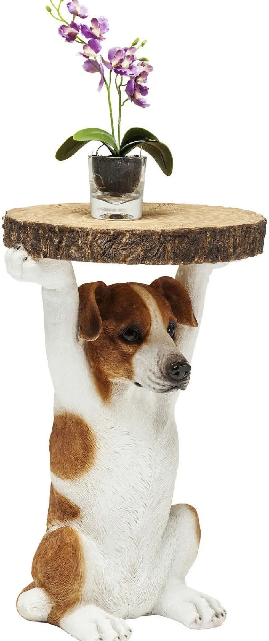 Best Sale Bijzettafel Animal Mr Jack Ø33cm Kasten|Tafels