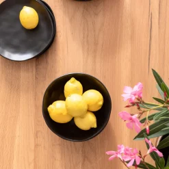 Hot Bord Organic Zwart Ø20cm Servies & Tafelaccessoires|Kasten