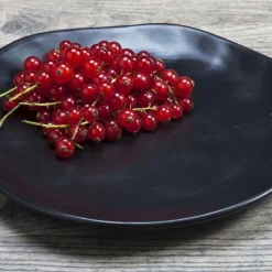 Hot Bord Organic Zwart Ø20cm Servies & Tafelaccessoires|Kasten