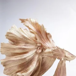 Shop Decofiguur Betta Fish Goud Opbergers|Woondecoratie