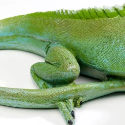 Fashion Decofiguur Lizard Green 35cm Opbergers|Woondecoratie