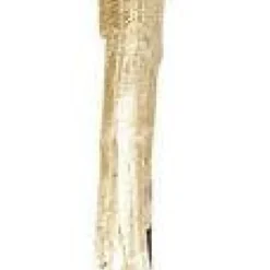 Shop Decofiguur Parrot Goud Opbergers|Woondecoratie