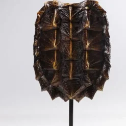Fashion Decofiguur Schildpad 53cm Opbergers|Woondecoratie