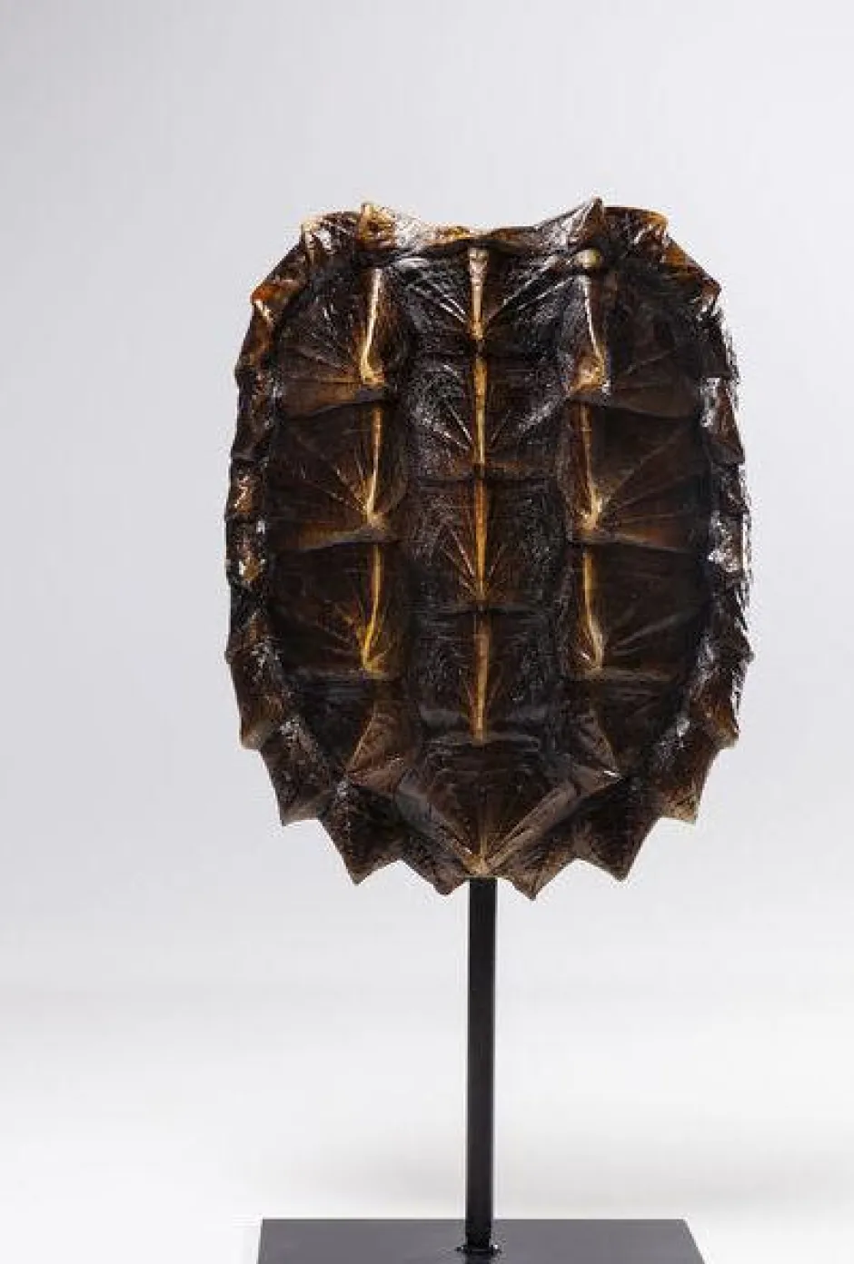 Fashion Decofiguur Schildpad 53cm Opbergers|Woondecoratie
