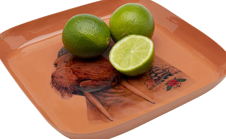 Cheap Dienblad Walrus 21x21cm Servies & Tafelaccessoires|Kasten