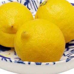 Flash Sale Diep Bord Fresco Ø21cm Servies & Tafelaccessoires|Tuinmeubelen