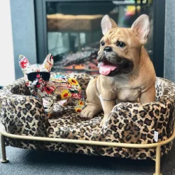 Sale Dierenbed Diva Leo Dierenaccessoires|Kasten