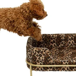 Sale Dierenbed Diva Leo Dierenaccessoires|Kasten