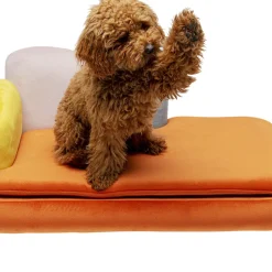 Hot Dierenbed Diva Orange Dierenaccessoires|Kasten