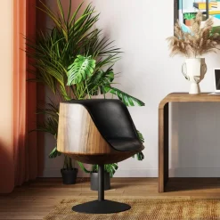 Shop Draaistoel Club Walnoot Kasten|Stoelen