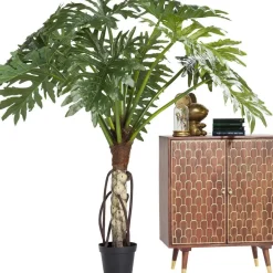Outlet Dressoir Muskat 2 Deurs Kasten|Lage Kasten & Dressoirs