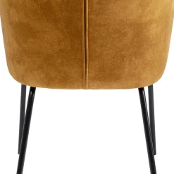 Fashion Eetkamerstoel Cathy Amber Kasten|Stoelen