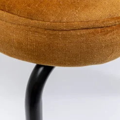 Fashion Eetkamerstoel Cathy Amber Kasten|Stoelen