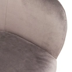 Flash Sale Eetkamerstoel Lady Velvet Grey Kasten|Stoelen