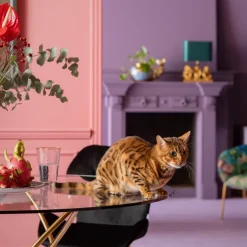 Best Sale Eettafel Molekular Goud Ø120cm Kasten|Tafels