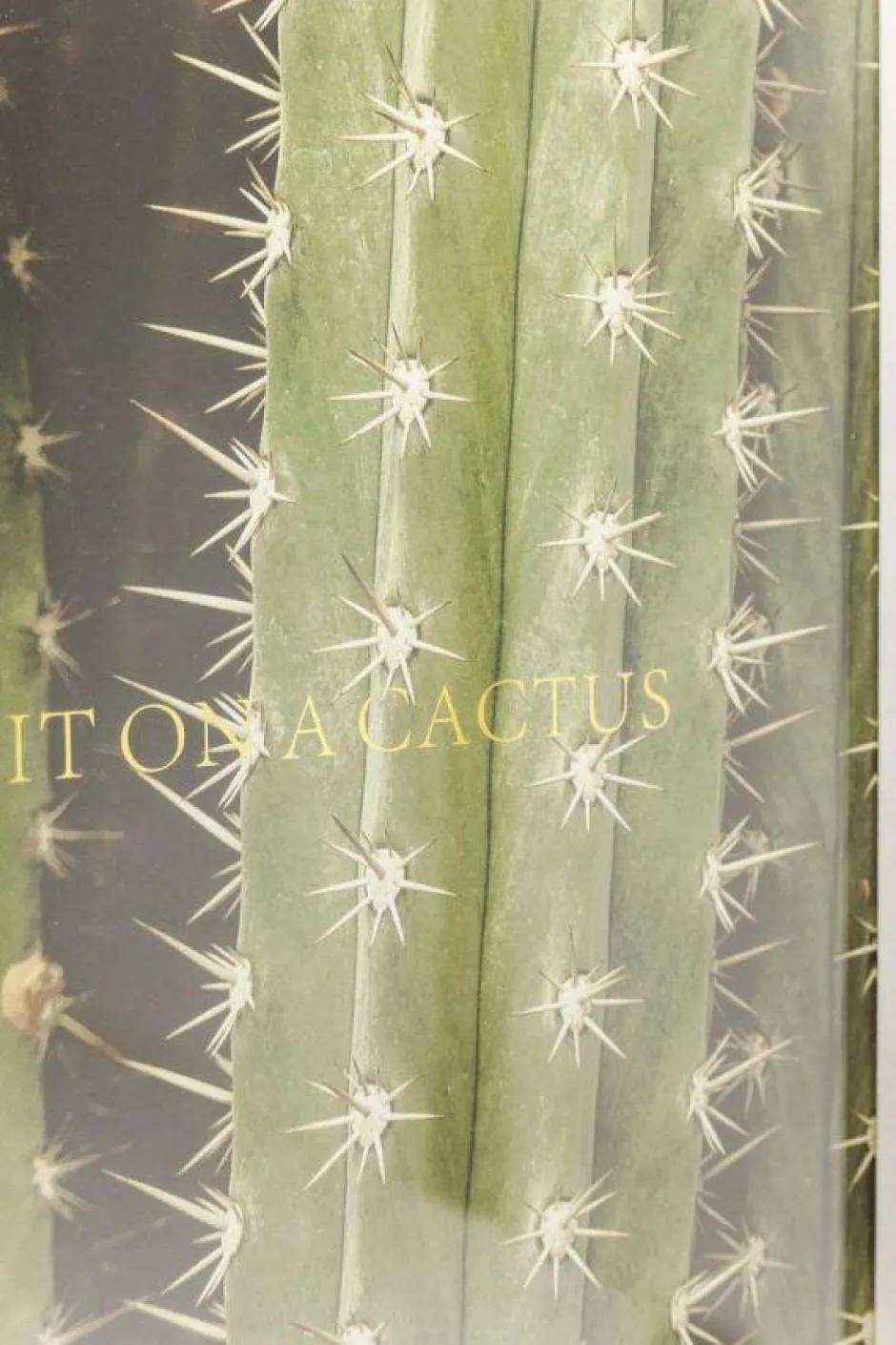 Best Fotolijst Cactus 45x33cm Wanddecoratie|Kasten