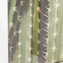 Best Fotolijst Cactus 45x33cm Wanddecoratie|Kasten