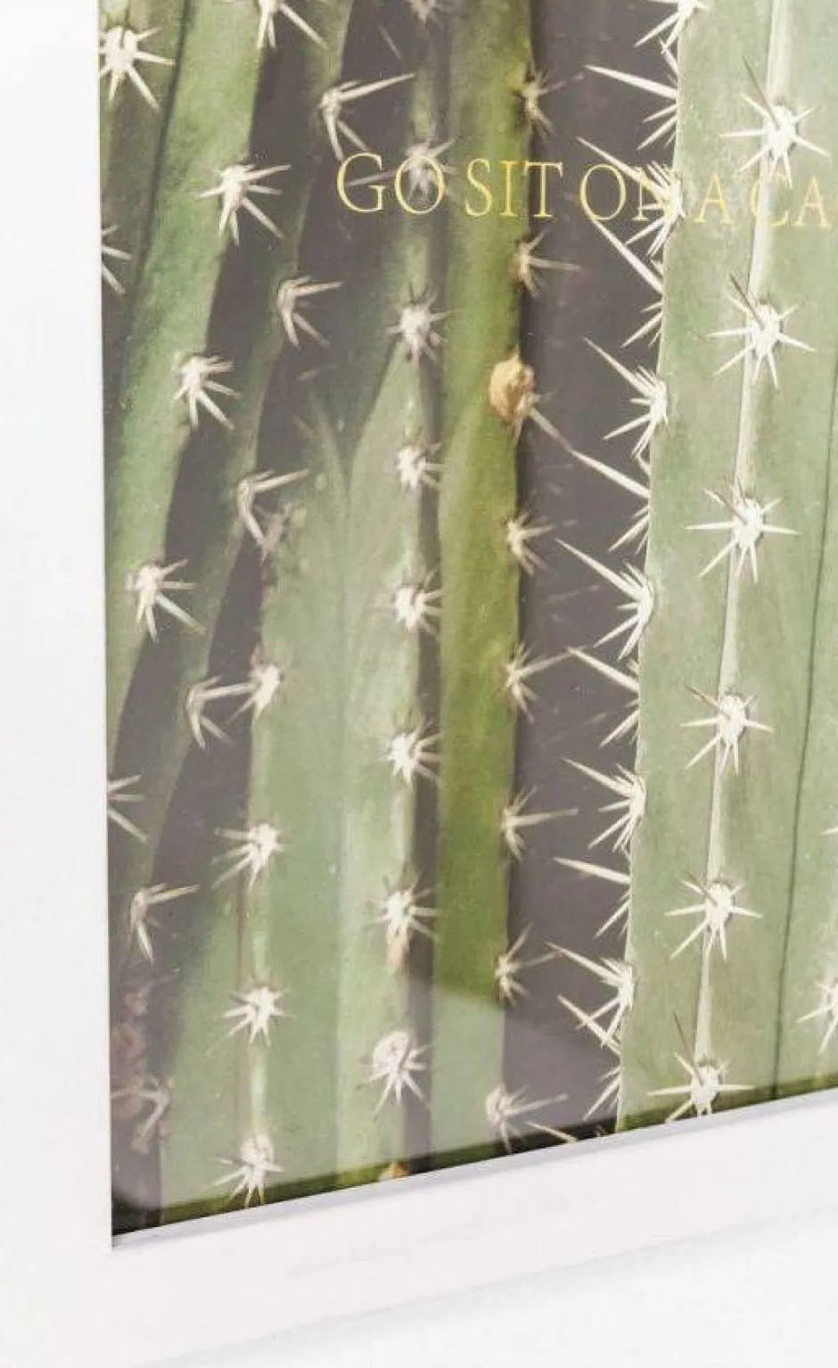 Best Fotolijst Cactus 45x33cm Wanddecoratie|Kasten