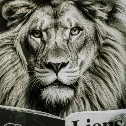Hot Glasschilderij Bath Lion 60x80cm Wanddecoratie