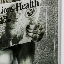 Hot Glasschilderij Bath Lion 60x80cm Wanddecoratie