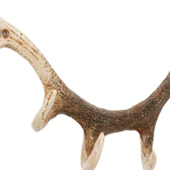 Online Kapstok Antler Nature Kapstokken|Kasten