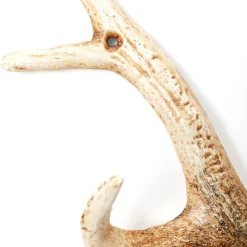 Online Kapstok Antler Nature Kapstokken|Kasten