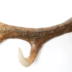 Online Kapstok Antler Nature Kapstokken|Kasten