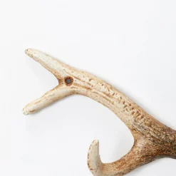 Online Kapstok Antler Nature Kapstokken|Kasten
