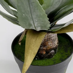 Sale Kunstplant Agave 40cm Woondecoratie|Kasten