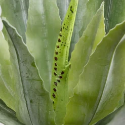 Sale Kunstplant Agave 40cm Woondecoratie|Kasten
