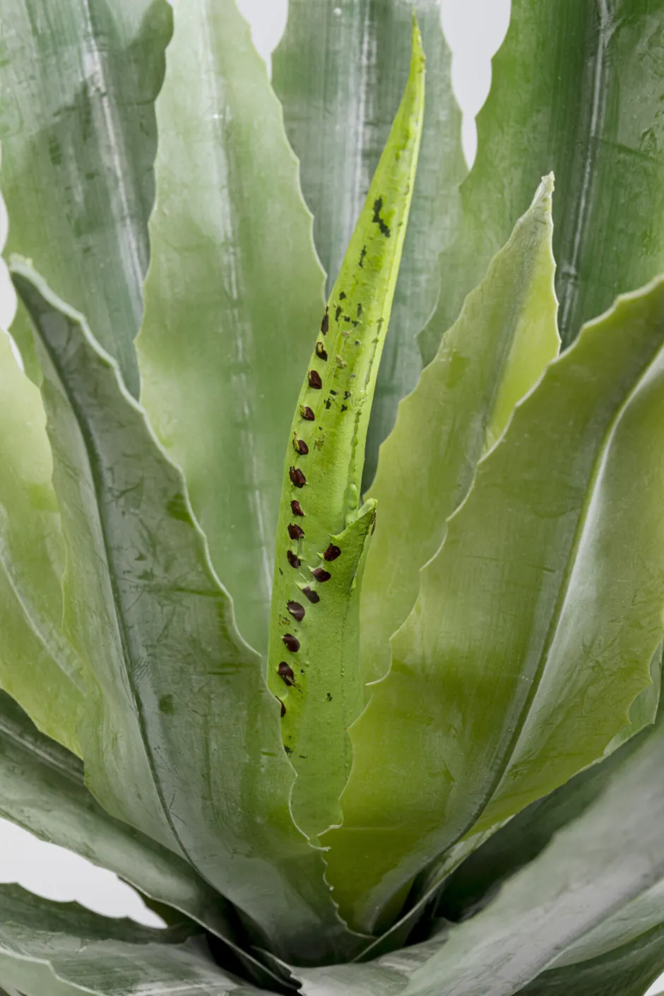 Sale Kunstplant Agave 40cm Woondecoratie|Kasten