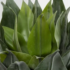 Best Sale Kunstplant Agave 120cm Woondecoratie|Kasten