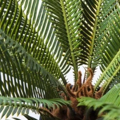 Store Kunstplant Cycas Boom 78cm Woondecoratie|Kasten