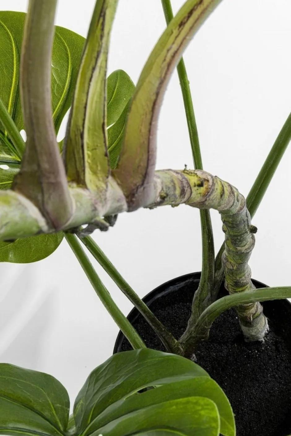 Online Kunstplant Monstera 110cm Woondecoratie|Kasten