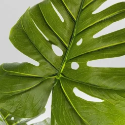 Online Kunstplant Monstera 110cm Woondecoratie|Kasten