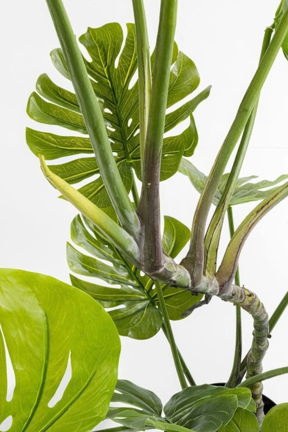 Online Kunstplant Monstera 110cm Woondecoratie|Kasten