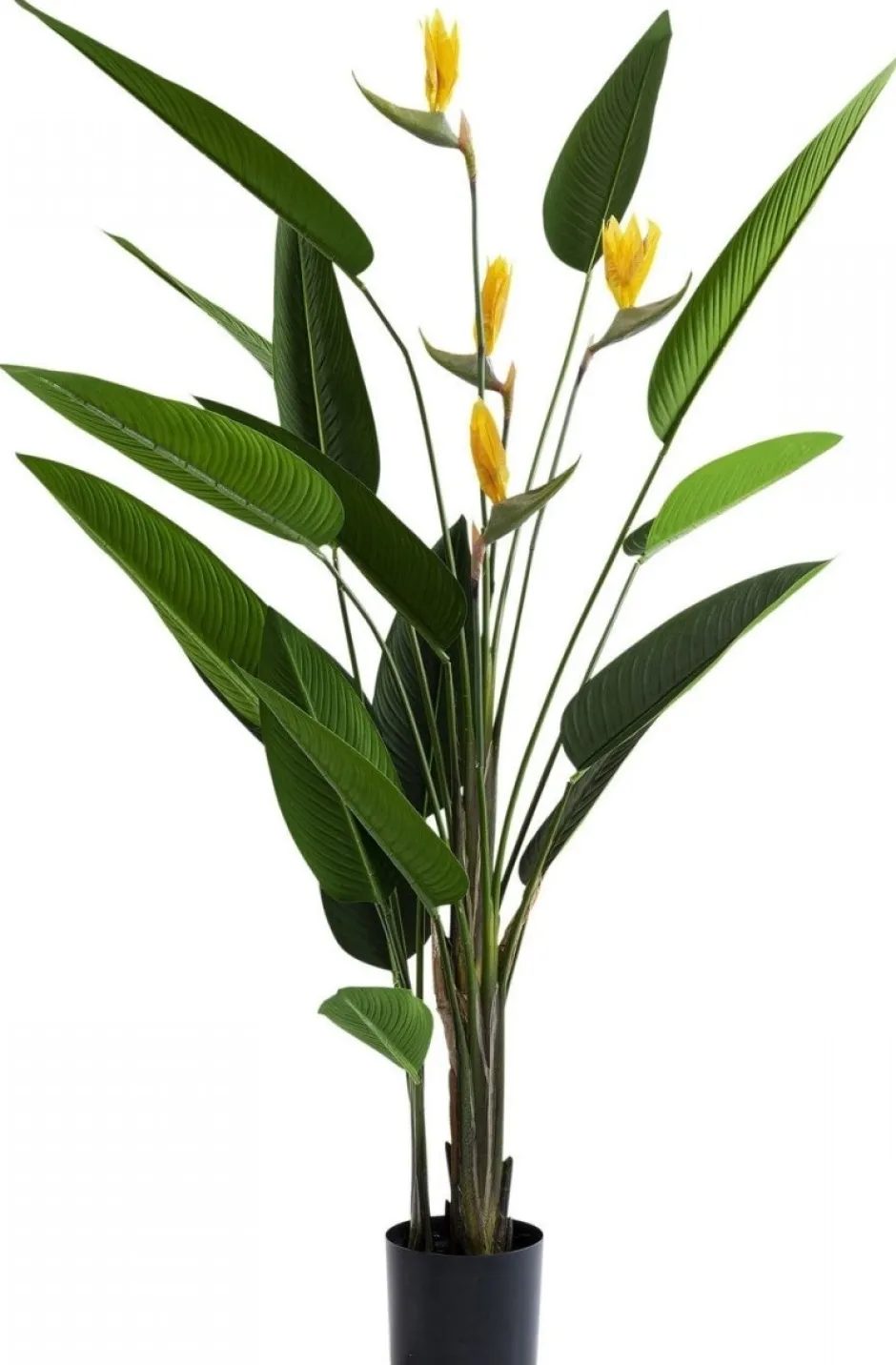 Outlet Kunstplant Paradise Flowers 190cm Woondecoratie|Kasten