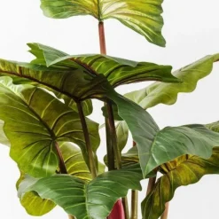 Online Kunstplant Rainforest Groen 160cm Woondecoratie|Kasten