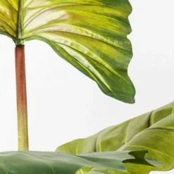 Online Kunstplant Rainforest Groen 160cm Woondecoratie|Kasten
