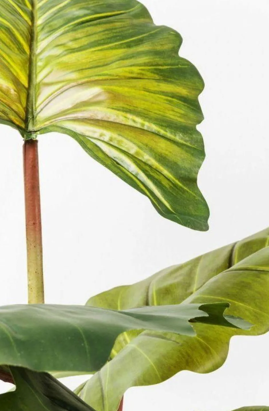 Online Kunstplant Rainforest Groen 160cm Woondecoratie|Kasten