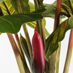 Online Kunstplant Rainforest Groen 160cm Woondecoratie|Kasten