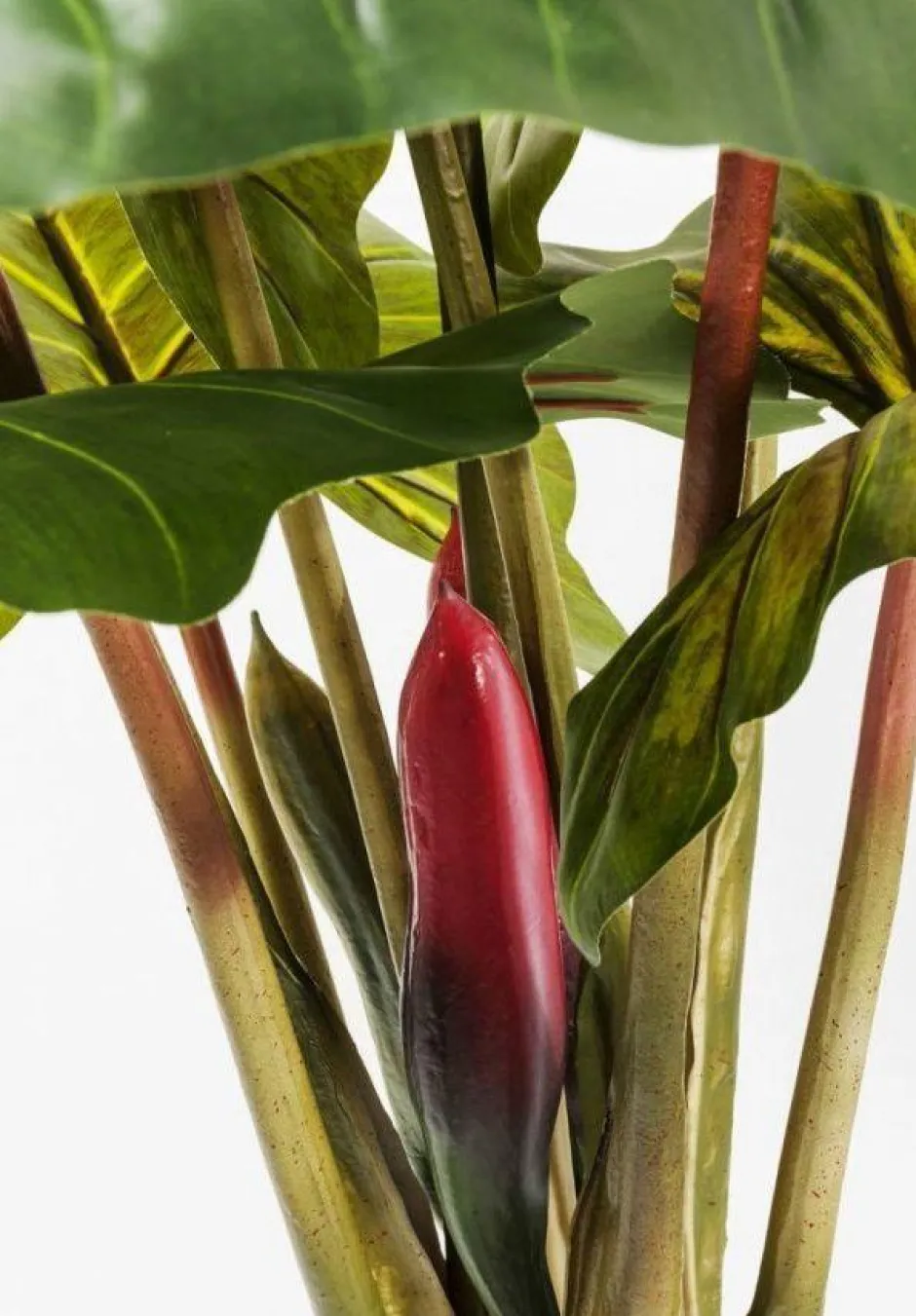 Online Kunstplant Rainforest Groen 160cm Woondecoratie|Kasten