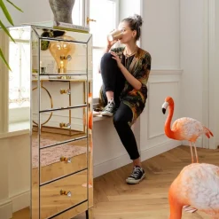 New Ladekast Luxury Champagne 5 Lades Kasten|Lage Kasten & Dressoirs