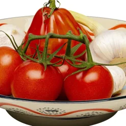 Shop Schaal Los Cabos 28cm Servies & Tafelaccessoires|Tuinmeubelen