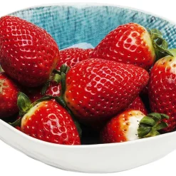 Hot Schaal Mustique Ø17cm Servies & Tafelaccessoires|Kasten