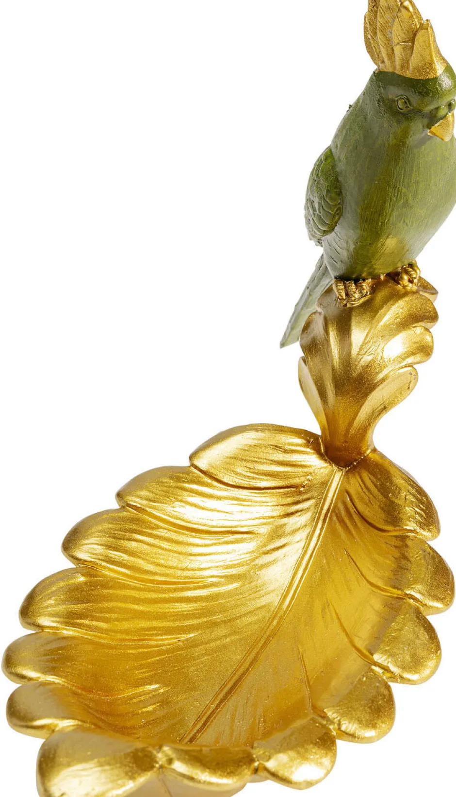 Best Sale Schaal Parrot Guard Opbergers|Woondecoratie