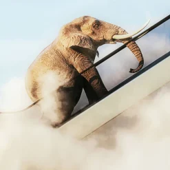 Discount Schilderij Elephant In The Sky 150x100cm Wanddecoratie|Kasten