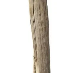 Hot Vloerlamp Nature Recht Vloerlampen|Kasten