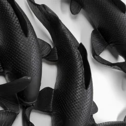 Cheap Wanddecoratie School Of Koi Black Ø160cm Wanddecoratie|Kasten